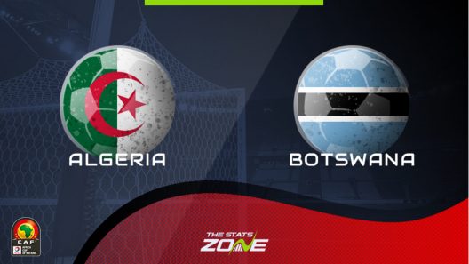 مشاهدة مباراة الجزائر وبوتسوانا بث مباشر ولقاء للتجارب لأسود الصحراء بعد حسم التأهل في تصفيات كأس أفريقيا