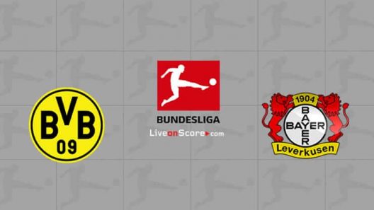 مشاهدة مباراة دورتموند وليفركوزن بث مباشر اليوم 22-05-2021 على سيغنال ايدونا بارك ضمن البوندسليجا