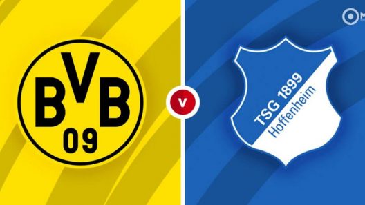مشاهدة مباراة بوروسيا دورتموند وهوفنهايم بث مباشر اليوم 22-1-2022 على ملعب راين نيكار أرينا