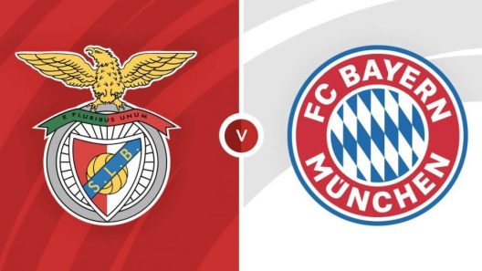 مشاهدة مباراة بايرن ميونخ وبنفيكا بث مباشر اليوم 02-11-2021 موقعة الالياز ارينا