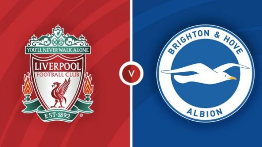 مشاهدة مباراة ليفربول وبرايتون بث مباشر اليوم 30-10-2021 لقاء الريدز في الدوري الانجليزي