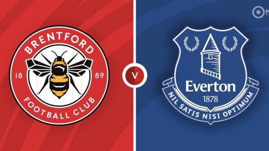 مشاهدة مباراة ايفرتون وبرينتفورد بث مباشر اليوم 5-2-2022 على جوديسون بارك