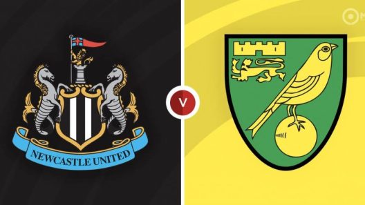 مشاهدة مباراة نيوكاسل ونوريتش سيتي بث مباشر اليوم 30-11-2021 لقاء ملعب السانت جيمس بارك