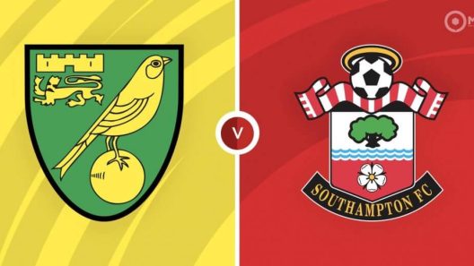 مشاهدة مباراة نوريتش سيتي وساوثهامتون بث مباشر اليوم 20-11-2021 مواجهة ملعب الكارو رود في الدوري الانجليزي