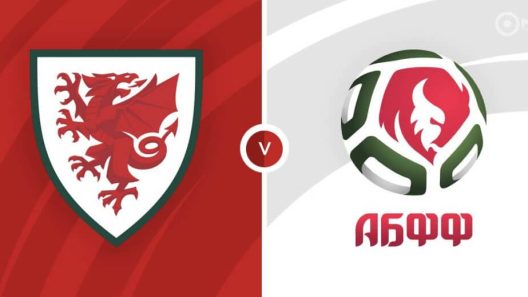 مشاهدة مباراة ويلز وروسيا البيضاء بث مباشر اليوم 13-11-2021 الجولة التاسعة من التصفيات