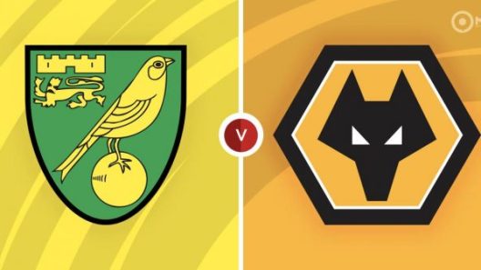 مشاهدة مباراة وولفرهامبتون ونوريتش سيتي بث مباشر اليوم 27-11-2021 مواجهة ملعب كارو رود