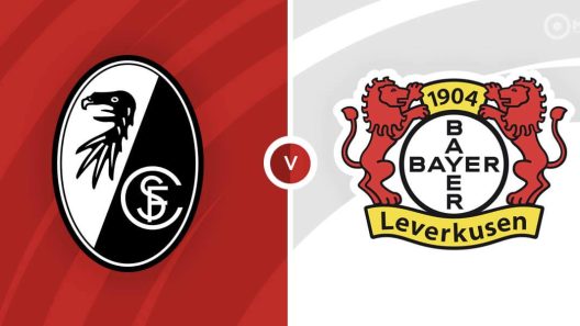 مشاهدة مباراة باير ليفركوزن وفرايبورج بث مباشر اليوم 19-12-2021 على ملعب شوارزوالد ستاديون