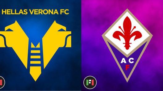 مشاهدة مباراة فيورنتينا وهيلاس فيرونا بث مباشر اليوم 22-12-2021 على مارك أنتونيو بينتجودي