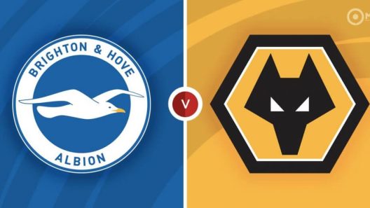 مشاهدة مباراة وولفرهامبتون وبرايتون بث مباشر اليوم 5-11-2022 قمة مولينيو