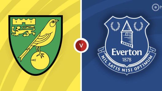 مشاهدة مباراة ايفرتون ونوريتش سيتي بث مباشر اليوم 15-1-2022 على الكارو رود