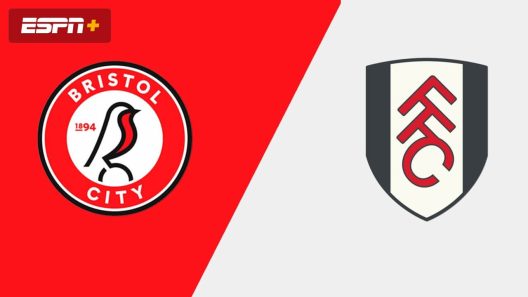 مشاهدة مباراة فولهام وبريستول سيتي بث مباشر اليوم 8-1-2022 على ملعب اشتون جيت