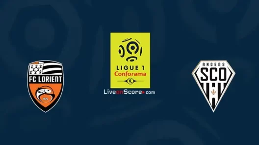 مشاهدة مباراة لوريان وانجيه بث مباشر اليوم 16-1-2022 على ملعب ستاد دو موستوار