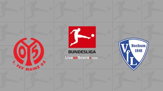 مشاهدة مباراة ماينز وبوخوم بث مباشر اليوم 15-1-2022 على الأوبيل أرينا