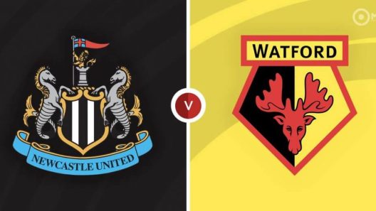 مشاهدة مباراة نيوكاسل وواتفورد بث مباشر اليوم 15-1-2022 لقاء ملعب السانت جيمس بارك
