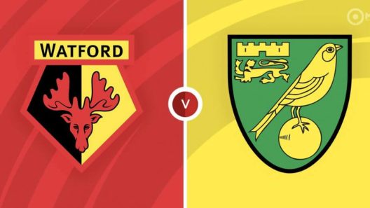 مشاهدة مباراة واتفورد ونوريتش سيتي بث مباشر اليوم 15-10-2022 قمة فيكارج رود