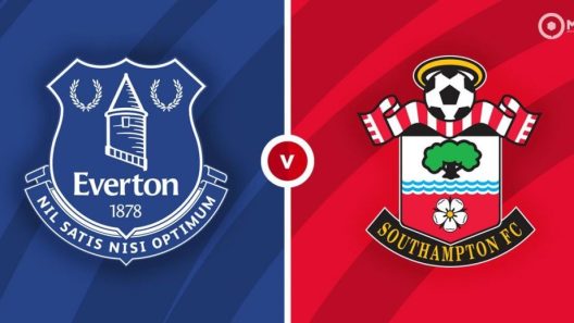 مشاهدة مباراة ايفرتون وساوثهامتون بث مباشر اليوم 19-2-2022 قمة سينت ماري