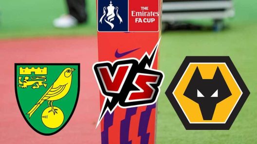 مشاهدة مباراة وولفرهامبتون ونوريتش سيتي بث مباشر اليوم 5-2-2022 على ملعب مولينيو