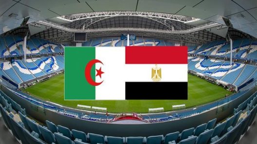 مشاهدة مباراة مصر والجزائر بث مباشر اليوم 15-7-2022 ربع نهائي بطولة افريقيا للامم لكرة اليد