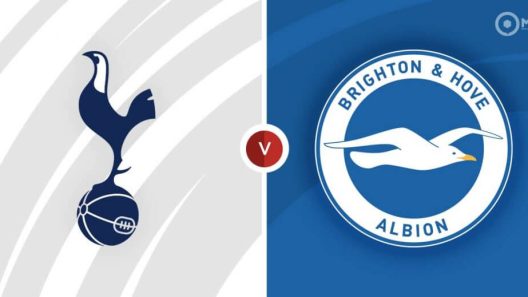 مشاهدة مباراة توتنهام وبرايتون بث مباشر اليوم 8-10-2022 موقعة فالمر