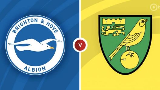 مشاهدة مباراة برايتون ونوريتش سيتي بث مباشر اليوم 2-4-2022 قمة ملعب فالمر