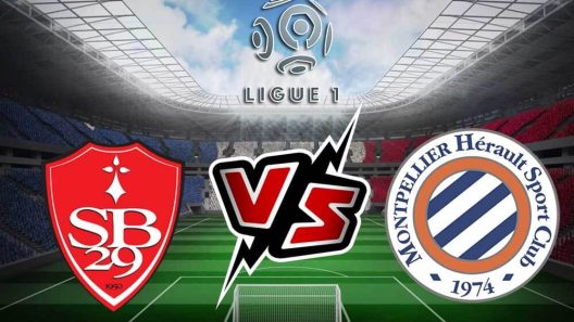 مشاهدة مباراة مونبلييه وستاد بريست بث مباشر اليوم 14-1-2024 قمة فرانسيس جنيه بلي