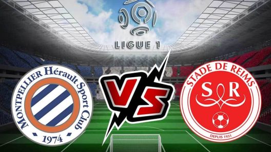 مشاهدة مباراة مونبلييه وستاد ريمس بث مباشر اليوم 6-10-2024 على أوغيست دولون