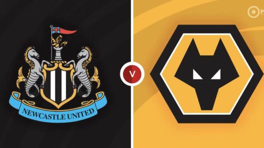 مشاهدة مباراة نيوكاسل ووولفرهامبتون بث مباشر اليوم 28-8-2022 لقاء مولينيو