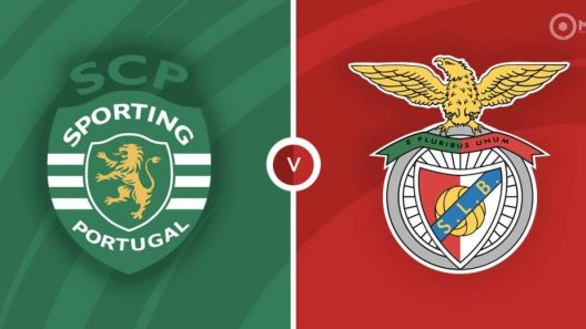 مشاهدة مباراة سبورتينغ لشبونة وبنفيكا بث مباشر اليوم 25-6-2022 نهائي الدوري البرتغالي لكرة القدم صالات