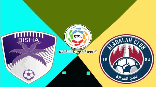 مشاهدة مباراة العدالة وبيشة بث مباشر اليوم 4-5-2022 دوري يلو