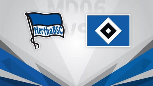 مشاهدة مباراة هيرتا برلين وهامبورج بث مباشر اليوم 6-12-2022 على الملعب الأولمبي