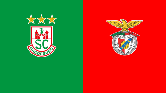 مشاهدة مباراة ماغديبورغ وبنفيكا بث مباشر اليوم 29-5-2022 نهائي الدوري الأوروبي لكرة اليد