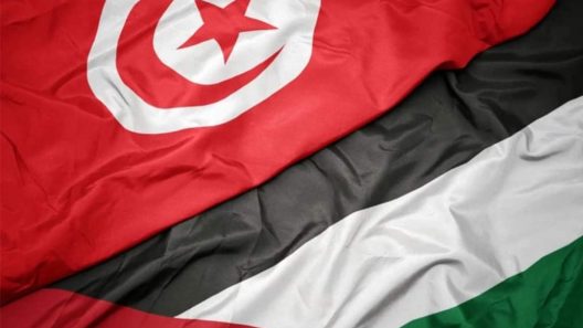 مشاهدة مباراة فلسطين وتونس بث مباشر اليوم 5-6-2022 مباراة ودية للمنتخبات الاولمبية