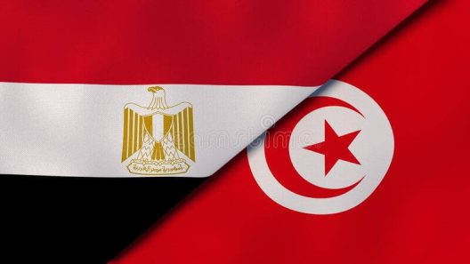 مشاهدة مباراة مصر وتونس بث مباشر اليوم 30-6-2022 دورة العاب البحر الابيض المتوسط لكرة اليد