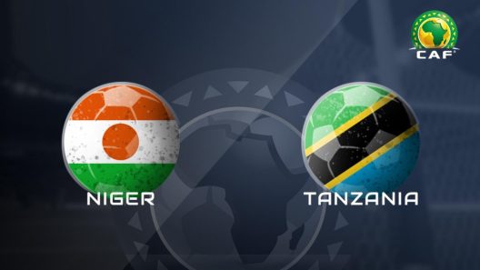 مشاهدة مباراة النيجر وتنزانيا بث مباشر اليوم 4-6-2022 تصفيات كأس أمم أفريقيا