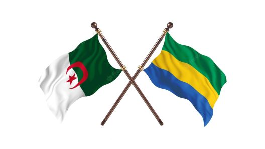 مشاهدة مباراة الجزائر والجابون بث مباشر اليوم 13-7-2022 بطولة افريقيا للامم لكرة اليد