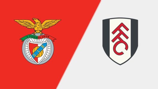 مشاهدة مباراة فولهام وبنفيكا بث مباشر اليوم 17-7-2022 مباراة ودية