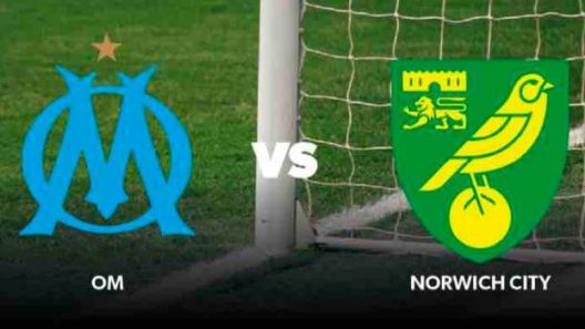 مشاهدة مباراة نوريتش سيتي ومارسيليا بث مباشر اليوم 16-7-2022 مباراة ودية