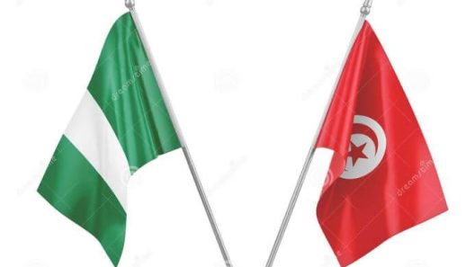 مشاهدة مباراة تونس ونيجيريا بث مباشر اليوم 11-7-2022 بطولة افريقيا للامم لكرة اليد