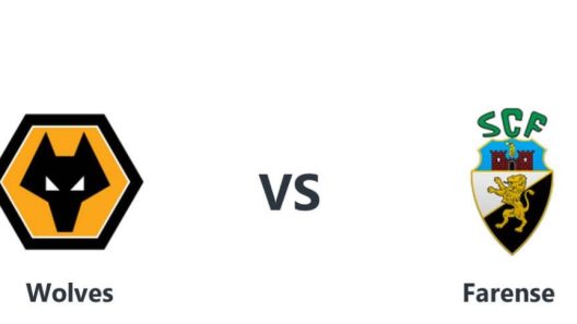 مشاهدة مباراة وولفرهامبتون وفارينزي بث مباشر اليوم 31-7-2022 مباراة ودية