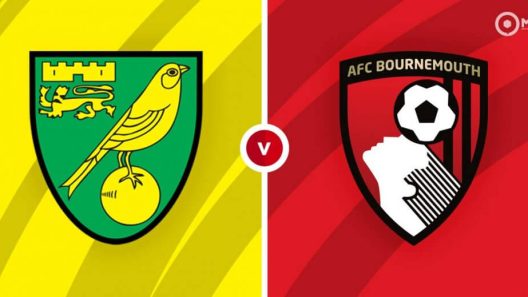 مشاهدة مباراة نوريتش سيتي وبورنموث بث مباشر اليوم 23-8-2022 قمة كارو رود