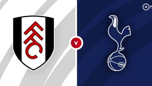 مشاهدة مباراة توتنهام وفولهام بث مباشر اليوم 23-1-2023 على كرافين كوتاج