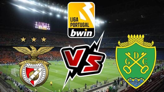 مشاهدة مباراة بنفيكا وتشافيس بث مباشر اليوم 4-11-2023 على الملعب البلدي مانويل برانكو تيكسيرا