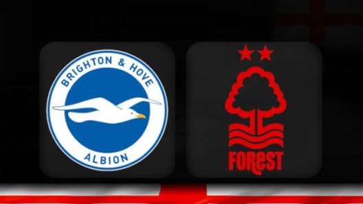 مشاهدة مباراة برايتون ونوتينغهام فورست بث مباشر اليوم 18-10-2022 قمة فالمر