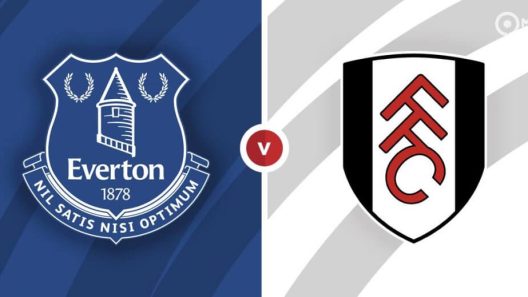 مشاهدة مباراة ايفرتون وفولهام بث مباشر اليوم 29-10-2022 لقاء كرافين كوتاج