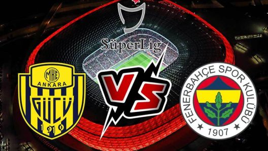 مشاهدة مباراة فنربخشة وانقرة غوجو بث مباشر اليوم 28-1-2024 ضمن الدوري التركي