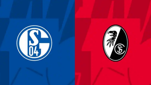 مشاهدة مباراة شالكه وفرايبورغ بث مباشر اليوم 30-10-2022 على فيلتينس ارينا