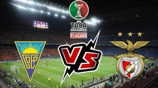 مشاهدة مباراة بنفيكا واستوريل برايا بث مباشر اليوم 9-11-2022 ضمن كأس البرتغال