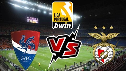 مشاهدة مباراة بنفيكا وجيل فيسنتي بث مباشر اليوم 13-11-2022 على ملعب النور