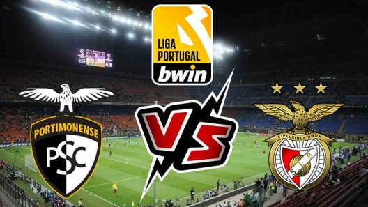 مشاهدة مباراة بنفيكا وبورتيمونينسي بث مباشر اليوم 3-12-2023 قمة باركي خواكيم دي ألميدا فريتاس