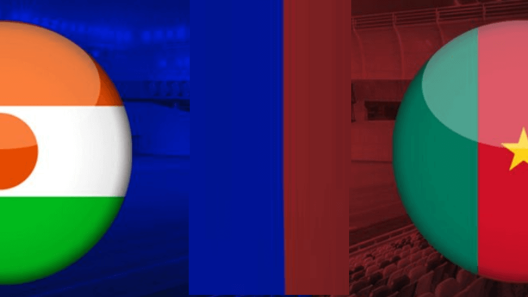 مشاهدة مباراة الكاميرون والنيجر بث مباشر اليوم 24-1-2023 ضمن كأس أمم أفريقيا لللاعبين المحليين